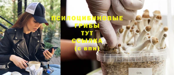 герыч Краснослободск