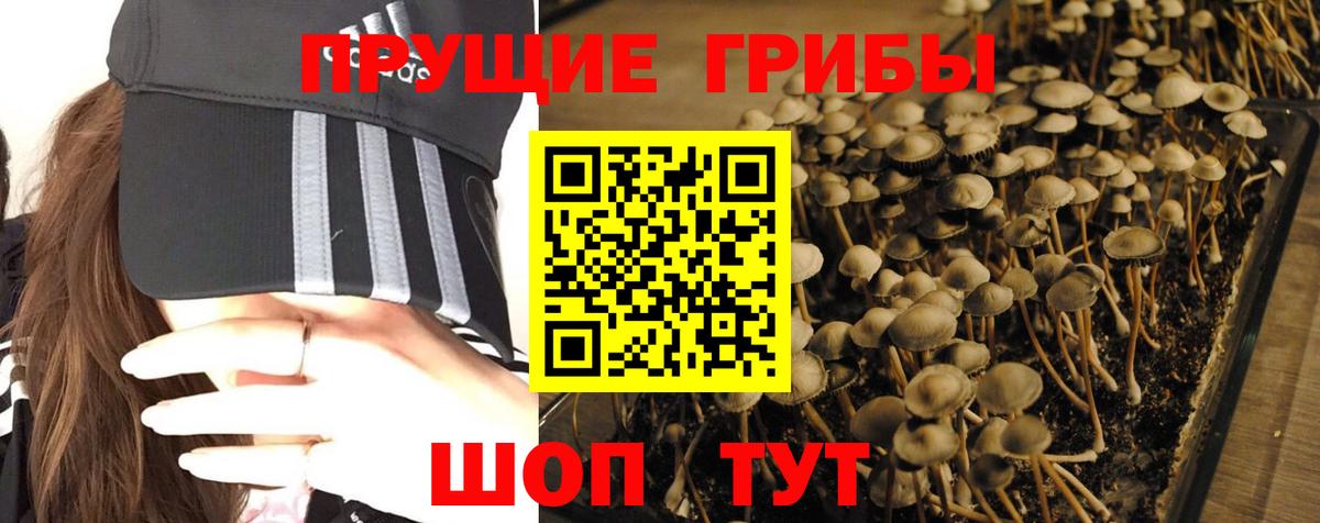 Учалы  сколько стоит  Вход с VPN  Псилоцибиновые грибы мицелий 