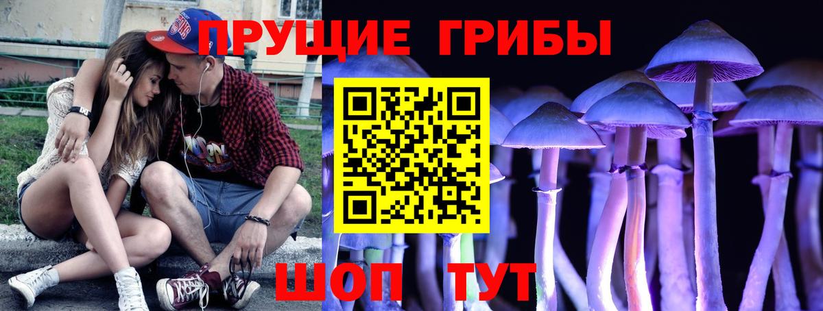 купить  цена  Псилоцибиновые грибы Psilocybe  Учалы  Галлюциногенные грибы GOLDEN TEACHER 